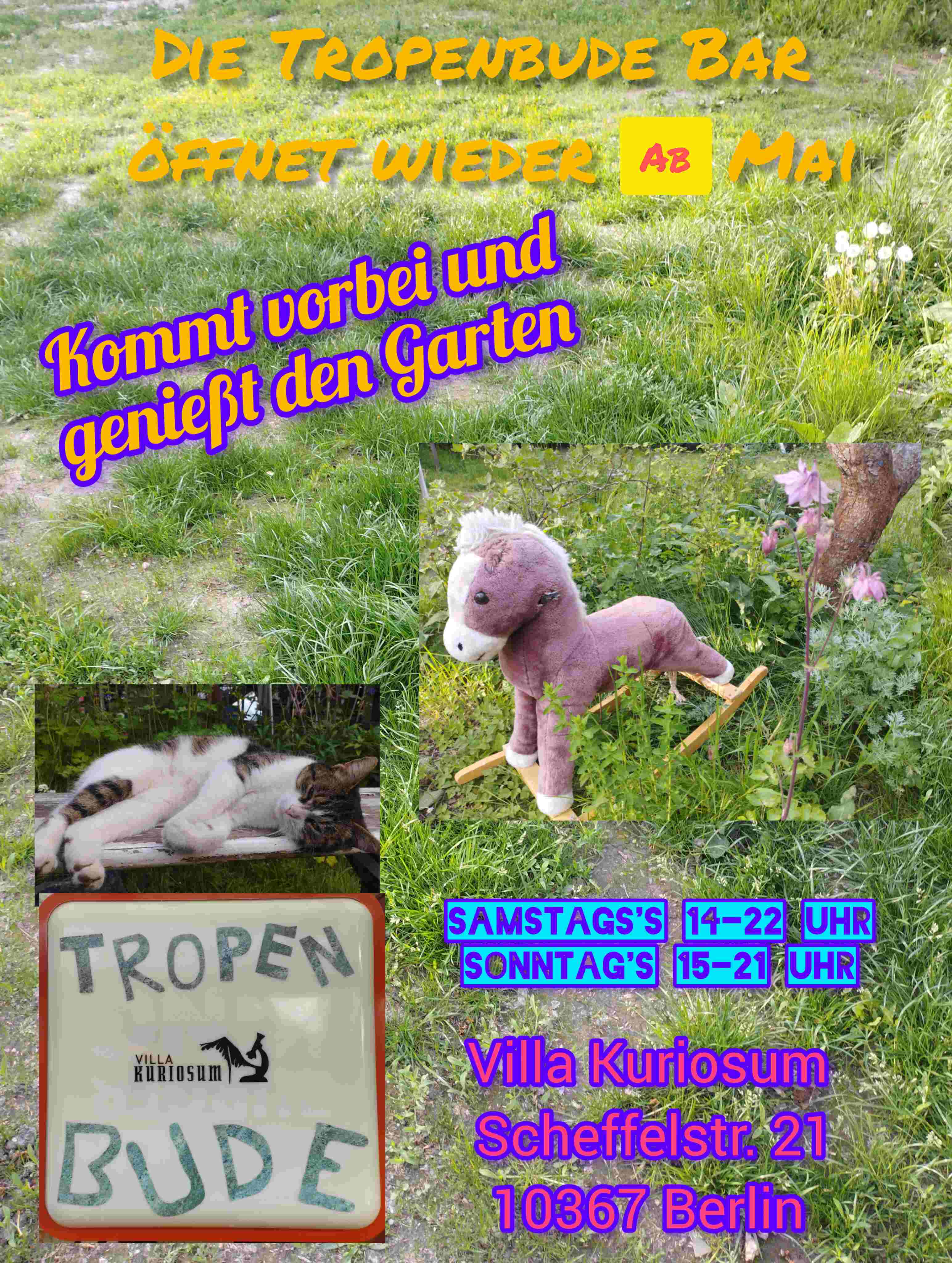 InShot 20240610 083317201 2