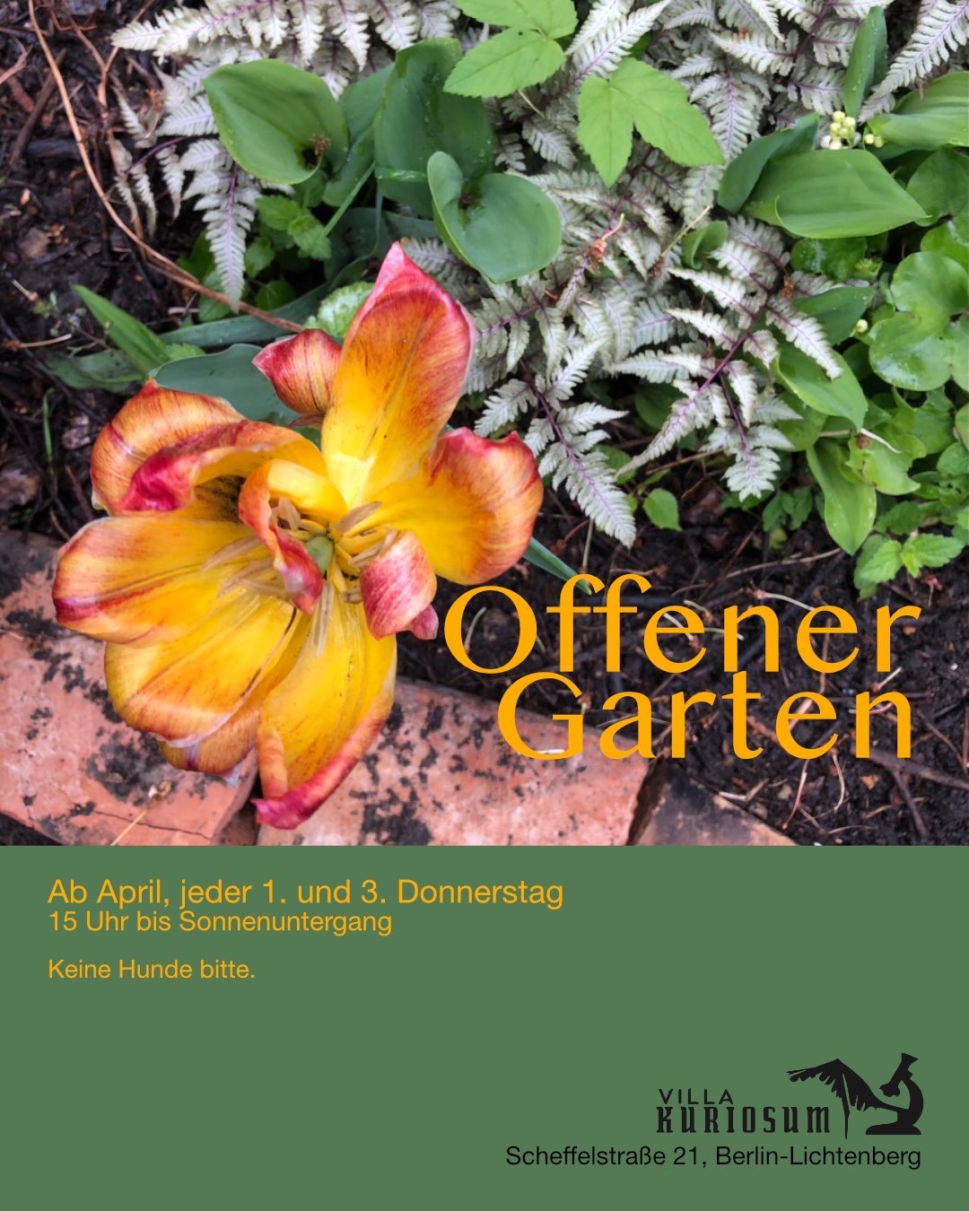 Garten 2025